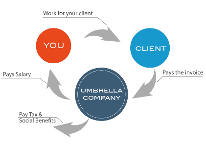 Flowchart-of-umbrella-employment
