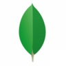 mongodb_slides