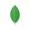 mongodb_videos