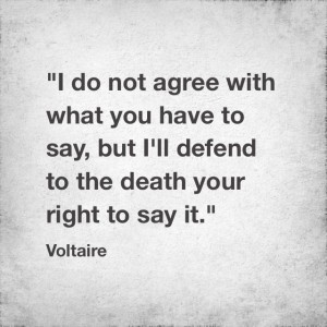 voltaire disagreement